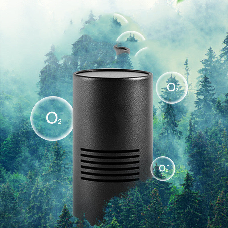 USB air purifier on board