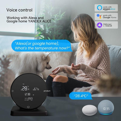Smart temperature and humidity sensor with remote